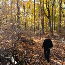 Ridgetown Conservation Area - Chatham-Kent