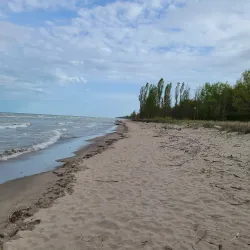 Rondeau Provincial Park - Chatham-Kent