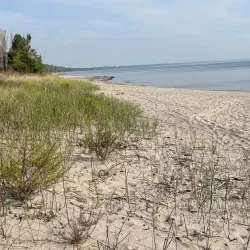 Rondeau Provincial Park - Chatham-Kent