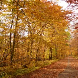 Rondeau Provincial Park - Chatham-Kent