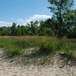 Rondeau Provincial Park - Chatham-Kent