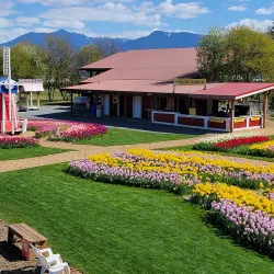 Chilliwack Corn Maze - Chilliwack