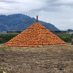 Chilliwack Corn Maze - Chilliwack