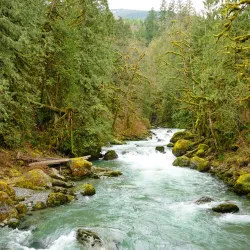 Chilliwack River Provincial Park - Chilliwack