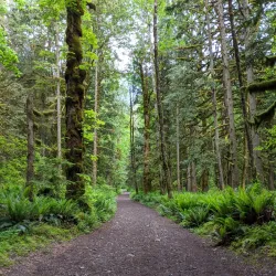 Chilliwack River Provincial Park - Chilliwack