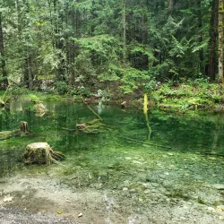 Chilliwack River Provincial Park - Chilliwack