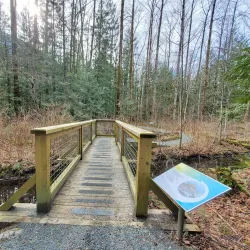 Chilliwack River Provincial Park - Chilliwack