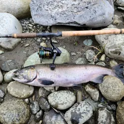 Chilliwack River Provincial Park - Chilliwack