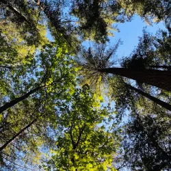 Cultus Lake Provincial Park - Chilliwack