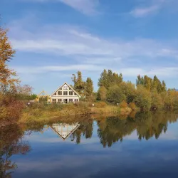 Great Blue Heron Nature Reserve - Chilliwack
