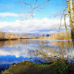 Great Blue Heron Nature Reserve - Chilliwack