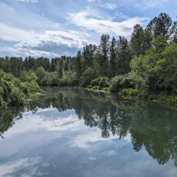 Great Blue Heron Nature Reserve - Chilliwack