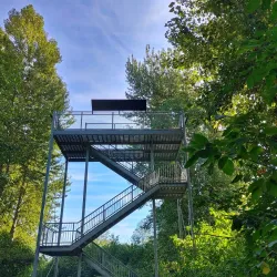Great Blue Heron Nature Reserve - Chilliwack