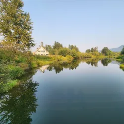 Great Blue Heron Nature Reserve - Chilliwack