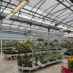 Minter Gardens - Chilliwack