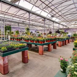 Minter Gardens - Chilliwack