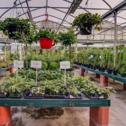 Minter Gardens - Chilliwack