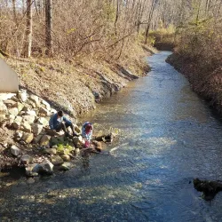 Vedder River Rotary Trail - Chilliwack
