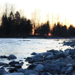 Vedder River Rotary Trail - Chilliwack
