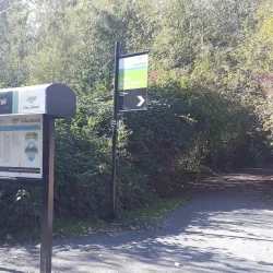 Vedder River Rotary Trail - Chilliwack