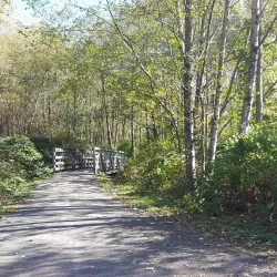Vedder River Rotary Trail - Chilliwack