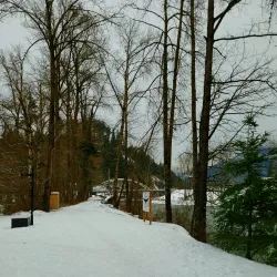 Vedder River Rotary Trail - Chilliwack