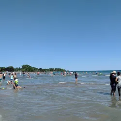 Cobourg Beach - Cobourg