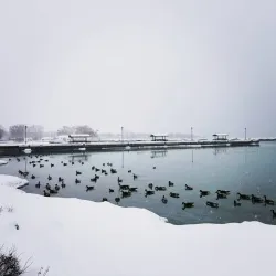 Cobourg Marina - Cobourg