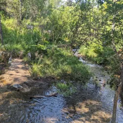 Big Hill Springs Provincial Park - Cochrane
