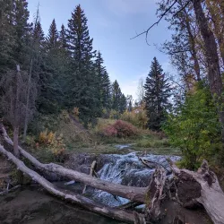 Big Hill Springs Provincial Park - Cochrane
