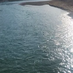 Bow River Pathway - Cochrane