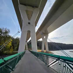 Bow River Pathway - Cochrane