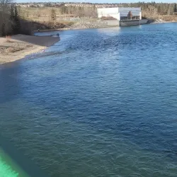 Bow River Pathway - Cochrane