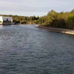 Bow River Pathway - Cochrane