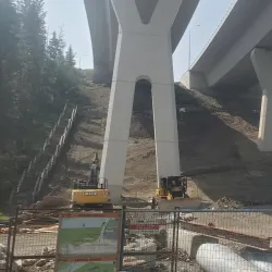 Bow River Pathway - Cochrane