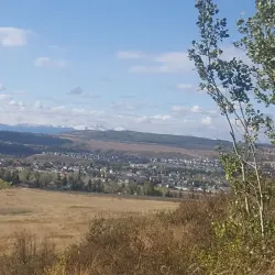 Cochrane Farmers' Market - Cochrane