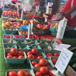 Cochrane Farmers' Market - Cochrane