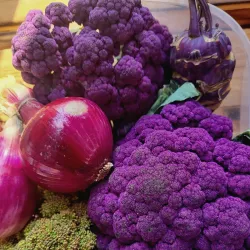 Cochrane Farmers' Market - Cochrane