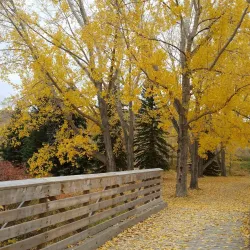 Cochrane Farmers' Market - Cochrane