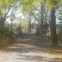 Cochrane Farmers' Market - Cochrane