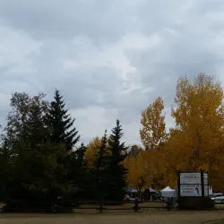 Cochrane Farmers' Market - Cochrane