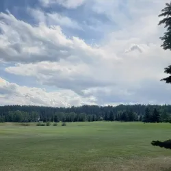 Cochrane Golf Club - Cochrane