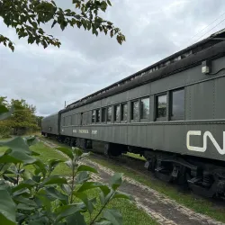 Cochrane Museum - Cochrane