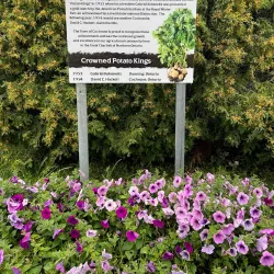 Cochrane Museum - Cochrane