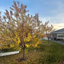 Cochrane Public Library - Cochrane