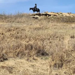 Cochrane Ranche Historic Site - Cochrane