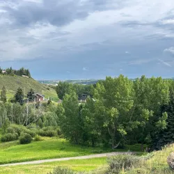 Cochrane Ranche Trail - Cochrane