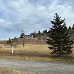 Cochrane Ranche Trail - Cochrane