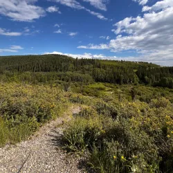 Cochrane Ranche Trail - Cochrane