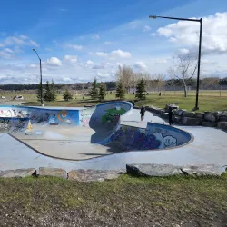 Cochrane Skate Park - Cochrane